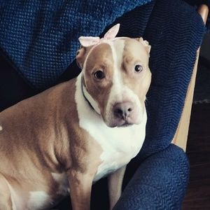 Meet your Posher, Ayvah